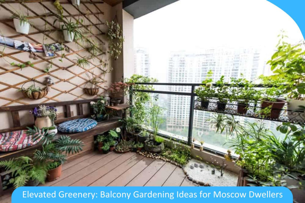 Elevated Greenery: Balcony Gardening Ideas for Moscow Dwellers 2 image 1