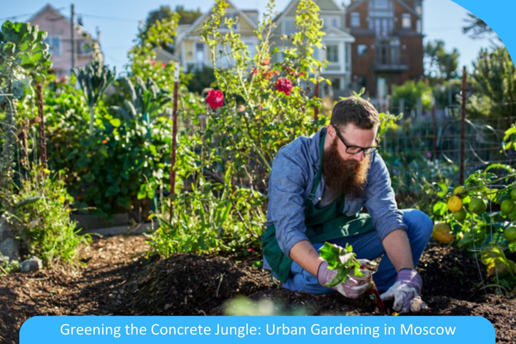 Greening the Concrete Jungle: Urban Gardening in Moscow 2 image